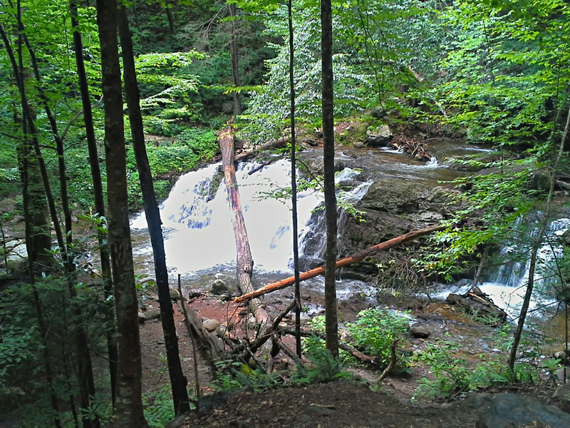 Illustration for article titled Hiked to Sunfish Pond!